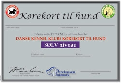 kth_solv.jpg