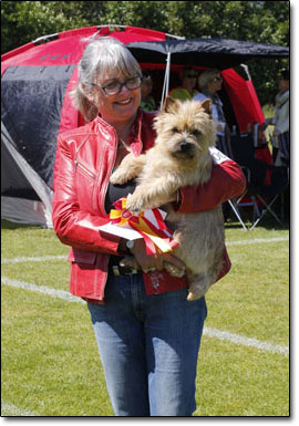 Zalazar Cairn Terrier Zalazar Cairn Terrier