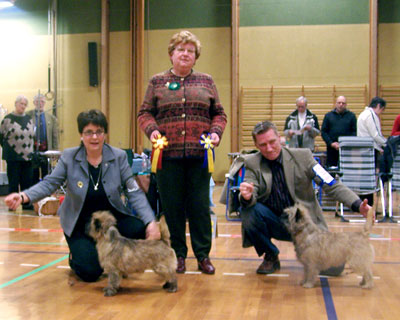 Cairn Terrier Zalazar On Parade