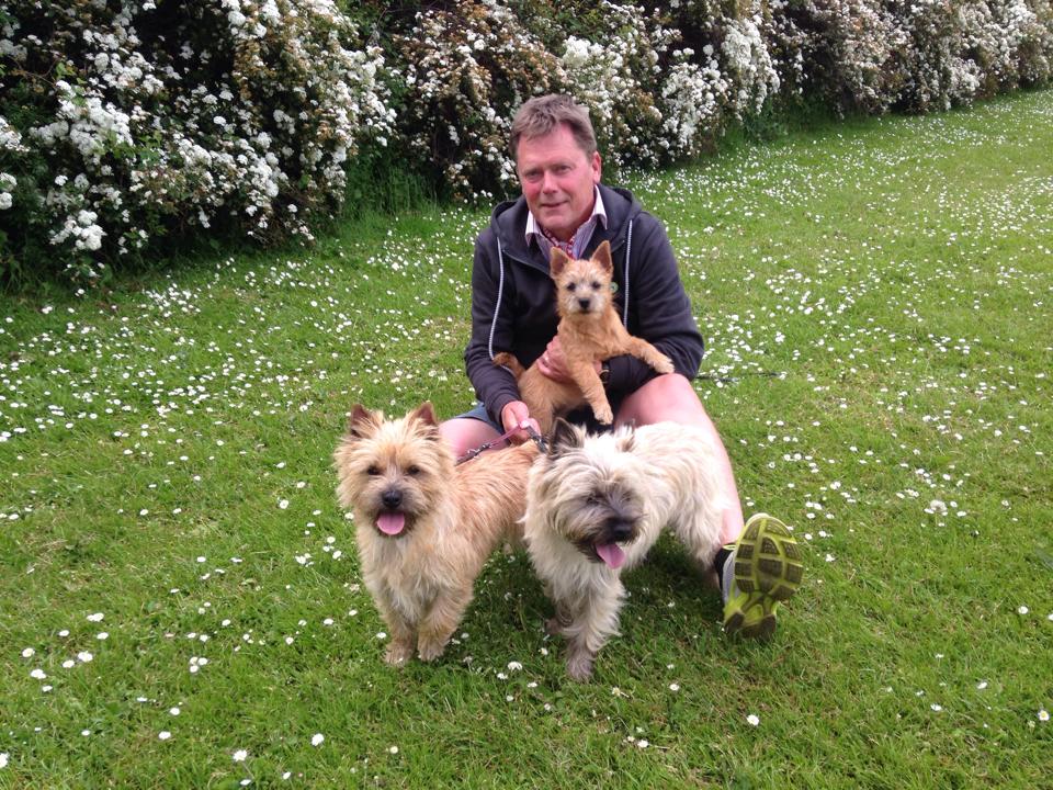Zalazar Cairn Terrier
