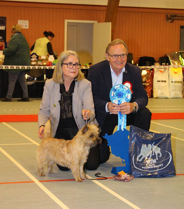 Cairn Terrier Zalazar Mai Tai