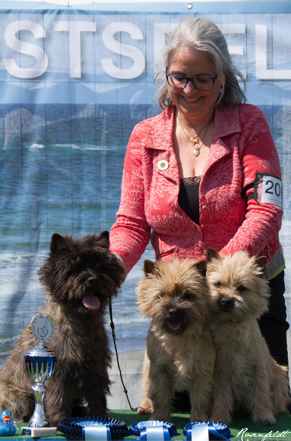 Baltic Terrier Show 2015