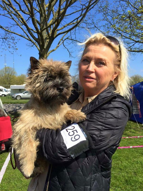 Zalazar Cairn Terrier