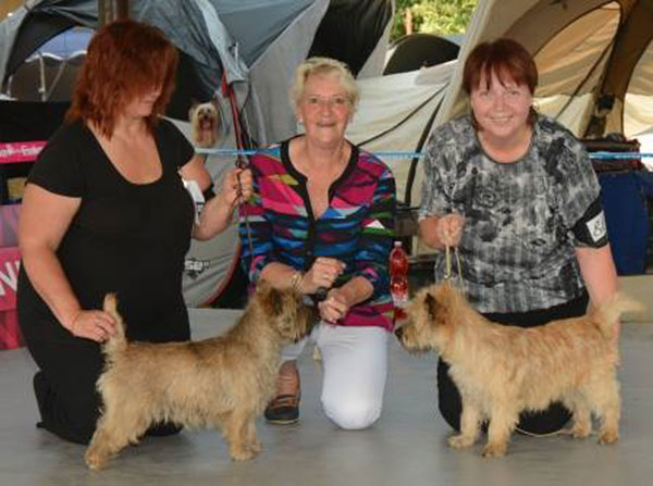 Cairn Terrier Zalazar Quite Special