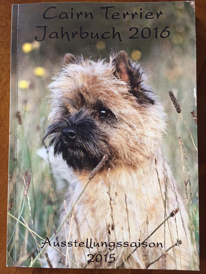 Zalazar Cairn Terrier