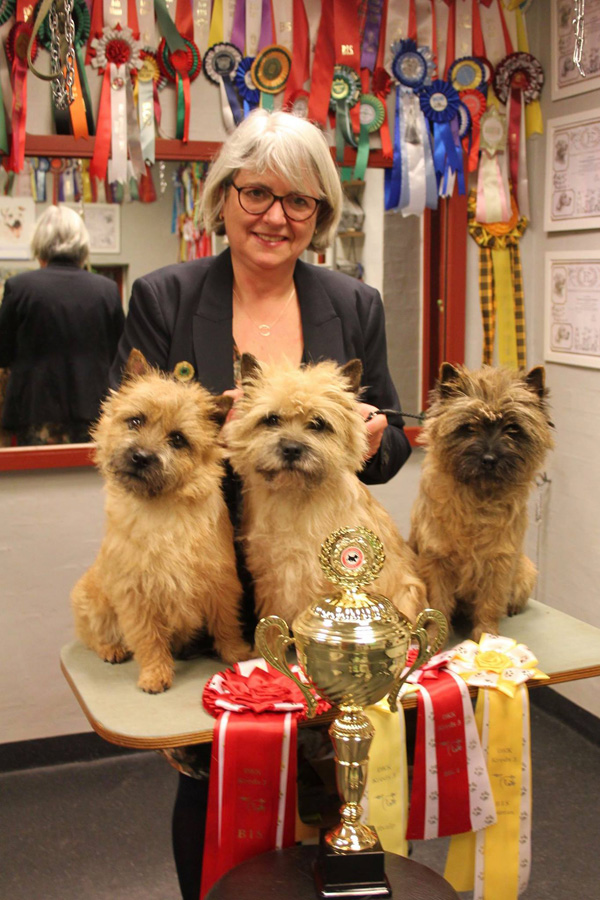 Cairn Terrier Zalazar New Dawn
