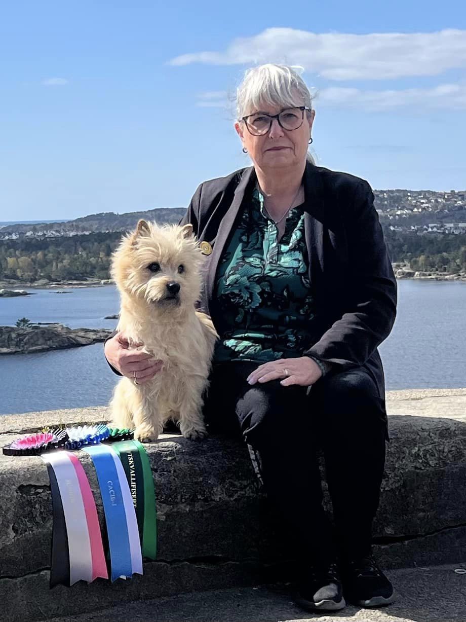 Cairn terrier Zalazar Northern Star