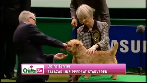 uzi2010crufts.png uzi2010crufts.png