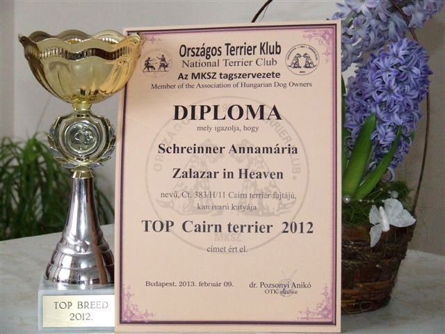 2012topcairn1.jpg