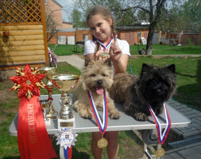 Zalazar Cairn Terrier